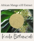 African Mango 10:1 Extract Powder 100g